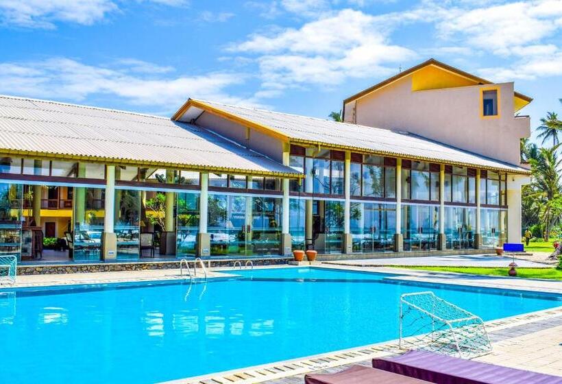 The Youth Hostel   It S A Youth Fame