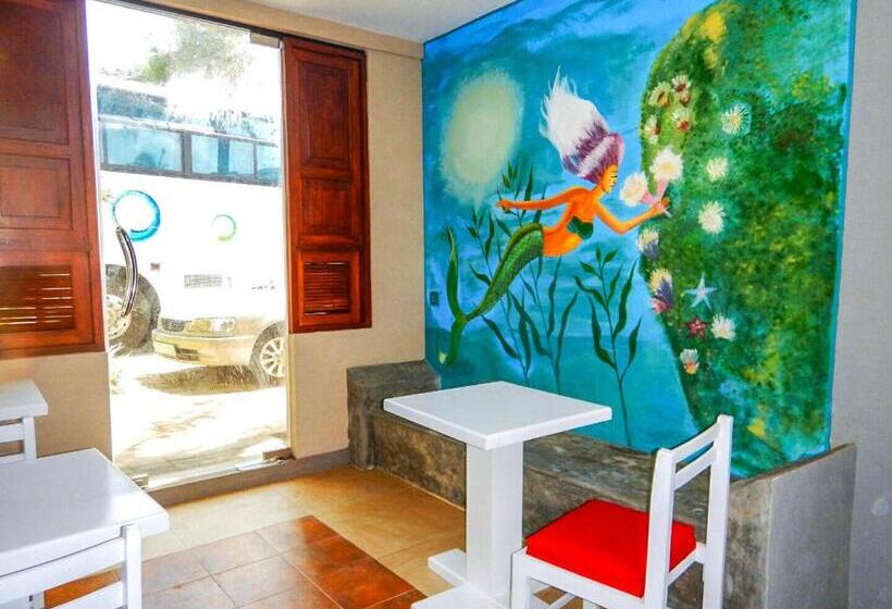 The Youth Hostel   It S A Youth Fame