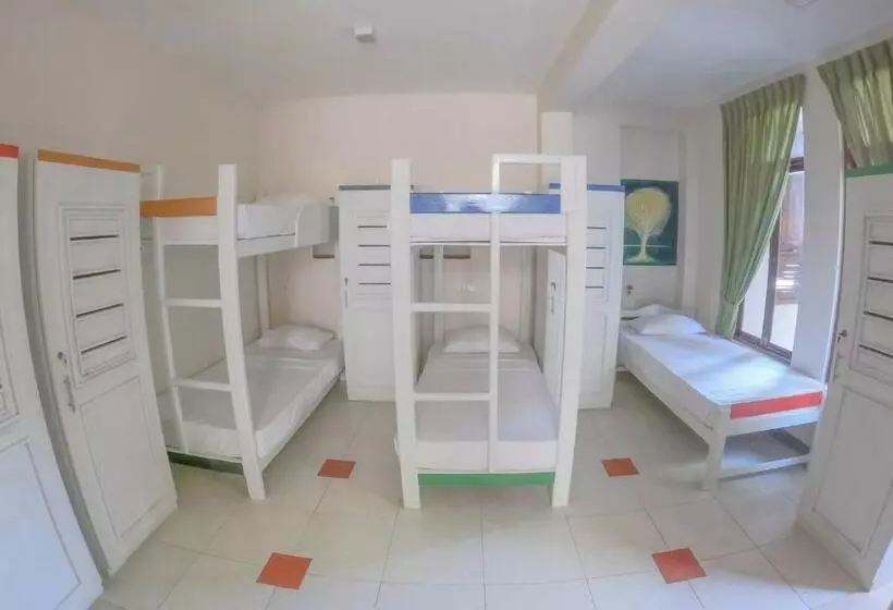 The Youth Hostel   It S A Youth Fame