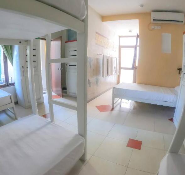 The Youth Hostel   It S A Youth Fame