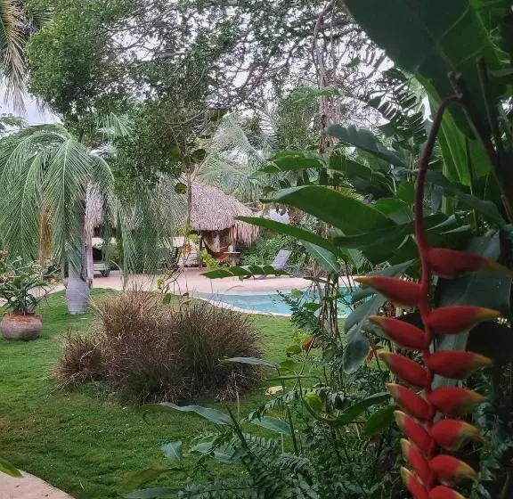 B&b Villa Zomerland