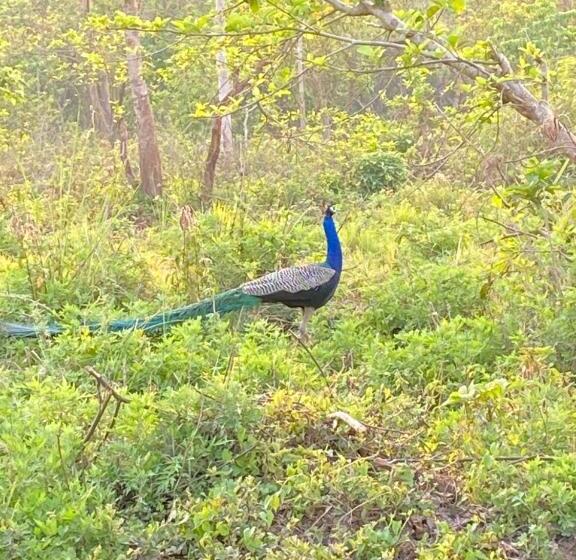 تختخواب و صبحانه Shiva's Dream