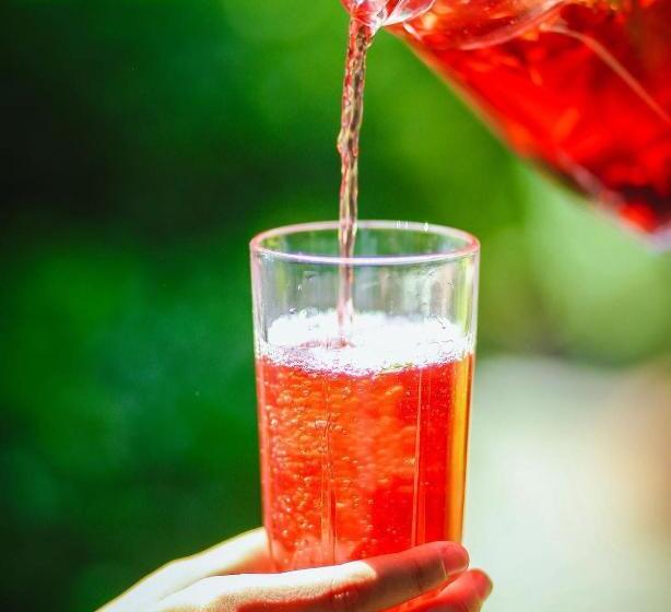 هتل Khan Lankaran