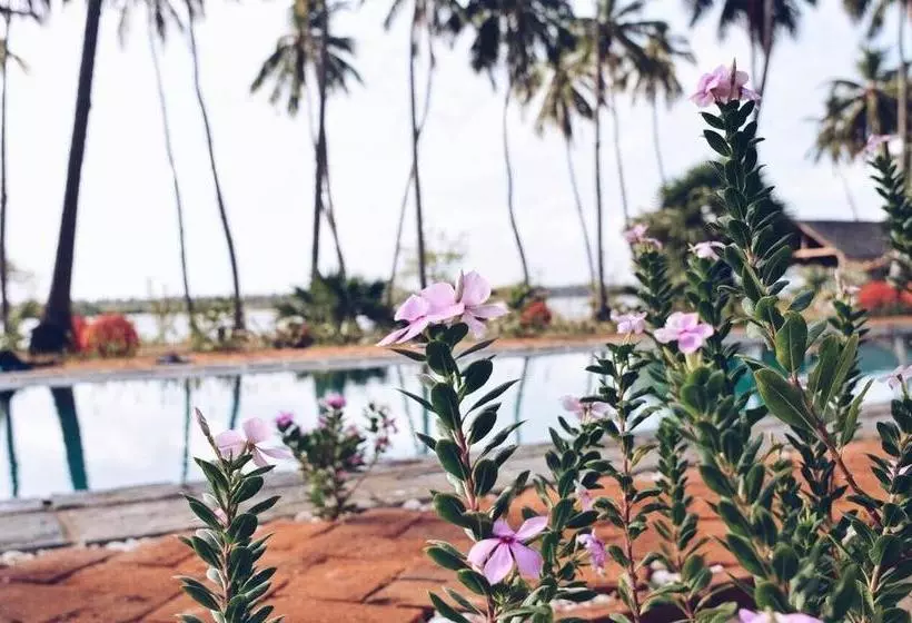 تختخواب و صبحانه Luna Laguna