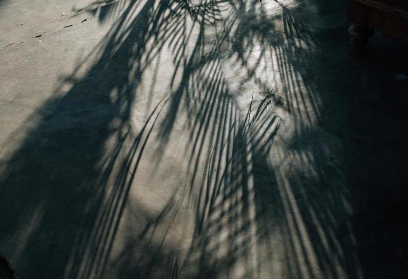 住宿加早餐 Luna Laguna