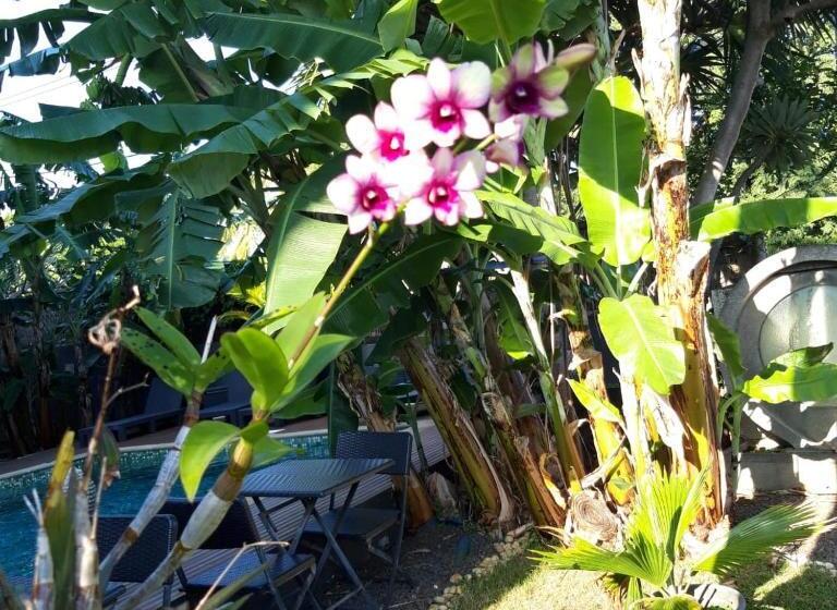 تختخواب و صبحانه Villa Belza Et Spa