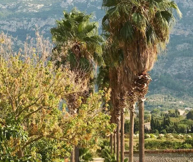 ホテル Finca Ca N Ai  Adults Only