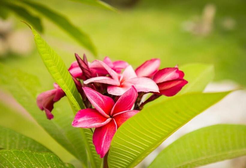 리조트 Ravorn Villa Boutique