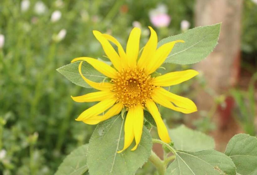 리조트 Ravorn Villa Boutique