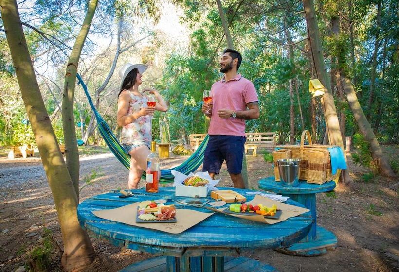 Cava Colchagua Hotel Boutique