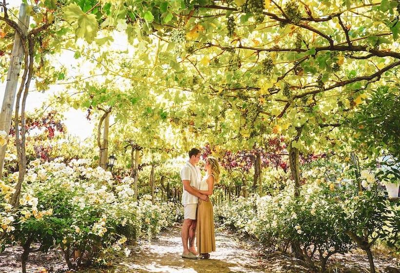 Cava Colchagua Hotel Boutique