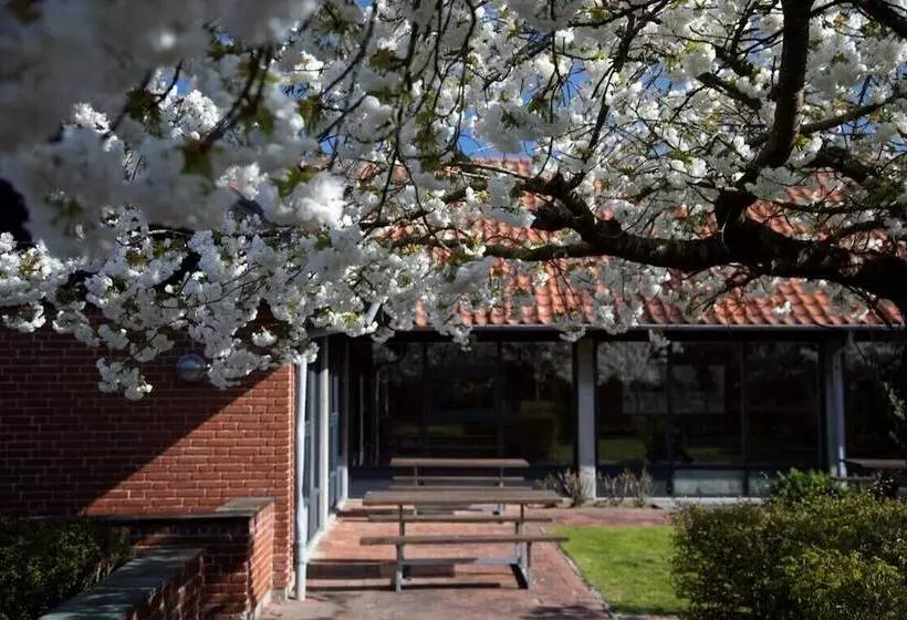 Sønderborg City Hostel