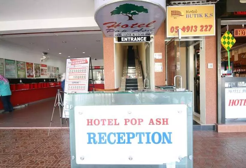 Hôtel Pop Ash