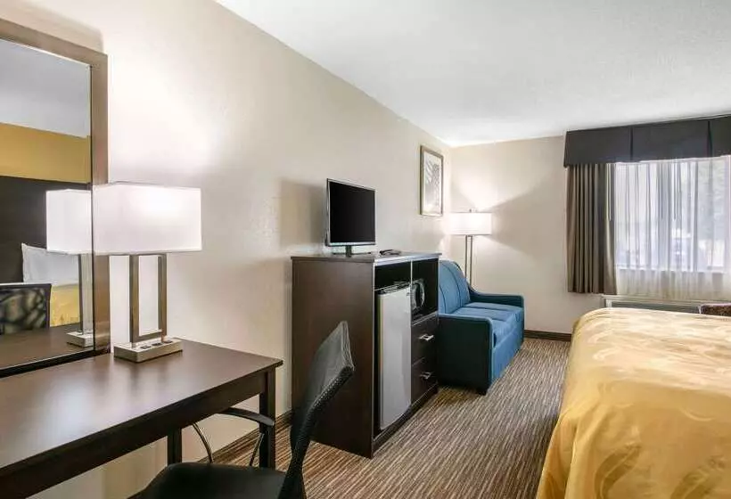Hotelli Quality Inn & Suites Metropolis I24
