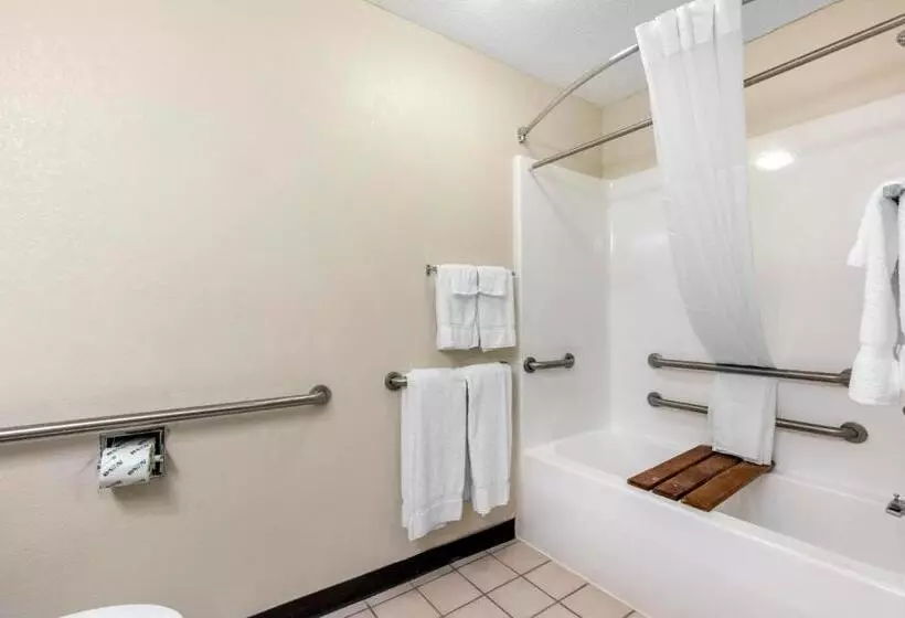 Hotelli Quality Inn & Suites Metropolis I24