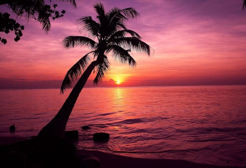 هتل Tropic Tree  Maldives