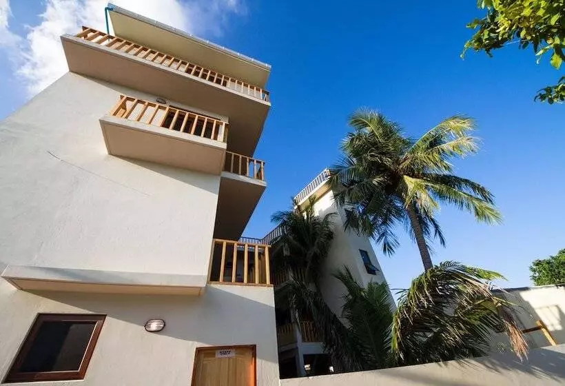 هتل Tropic Tree  Maldives