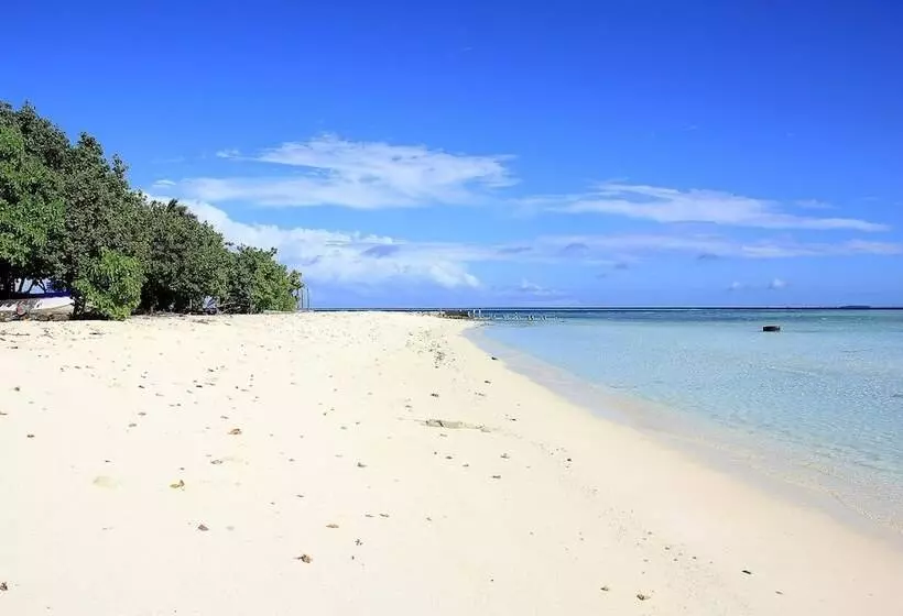 هتل Tropic Tree  Maldives