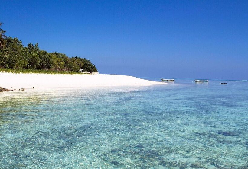 هتل Tropic Tree  Maldives