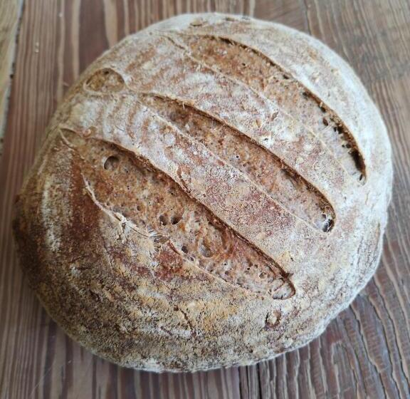 Møllehusets Bed & Breakfast