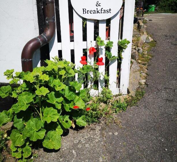 Møllehusets Bed & Breakfast