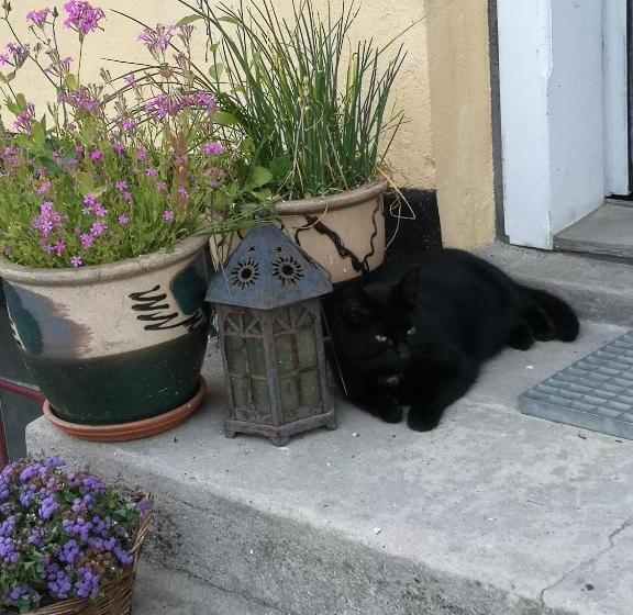 Møllehusets Bed & Breakfast