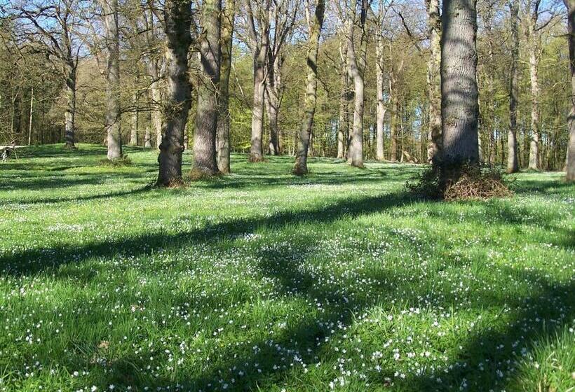 Møllehusets Bed & Breakfast