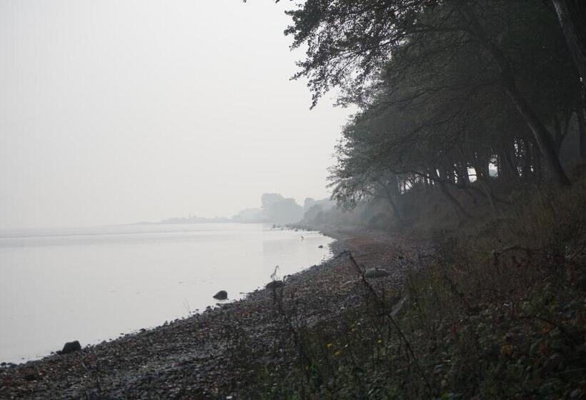 Møllehusets Bed & Breakfast