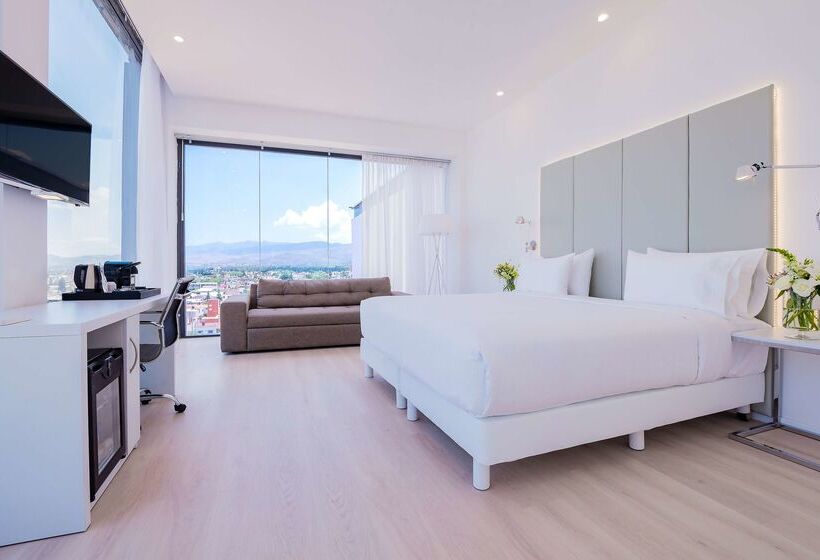 فندق NH San Luis Potosi