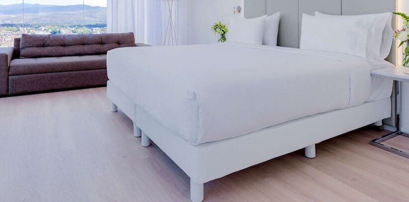 فندق NH San Luis Potosi