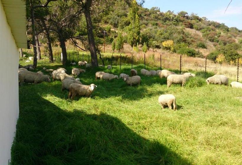 Springwater Cottages