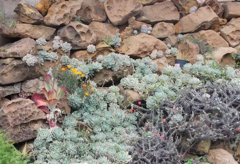 ベッドアンドブレックファースト The Lapha Guesthouse & Conference Centre