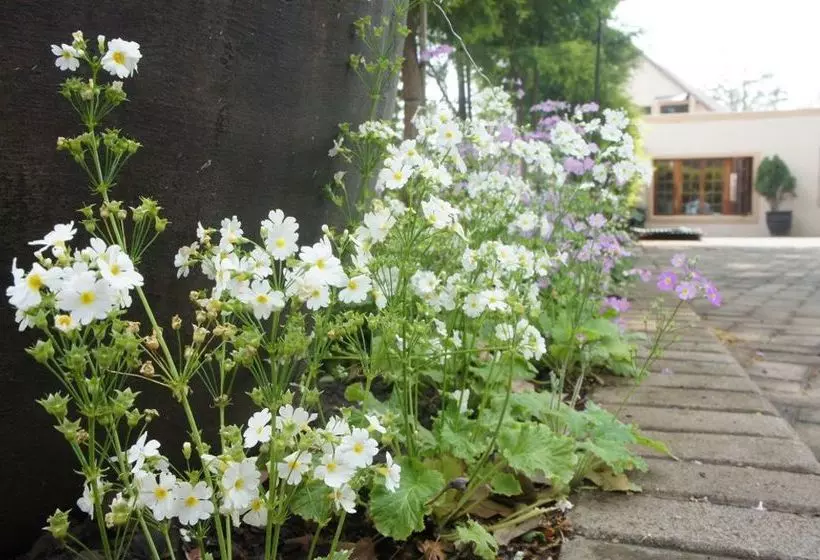 ベッドアンドブレックファースト The Lapha Guesthouse & Conference Centre