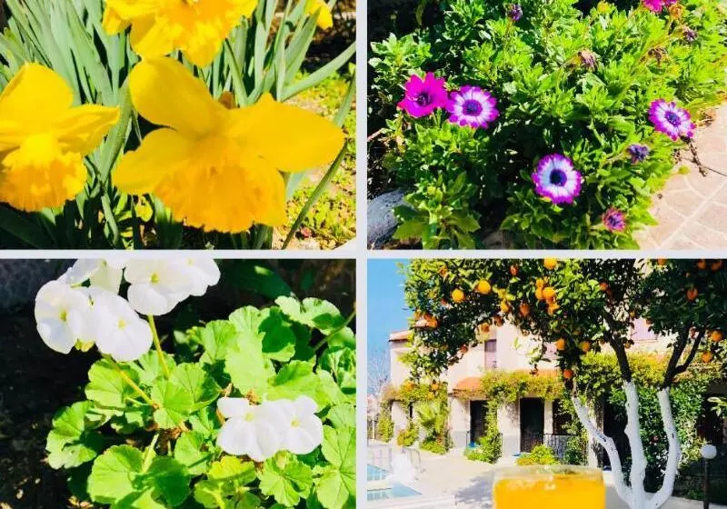 Hotelli Arda Villas Dalyan