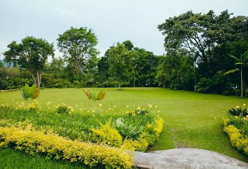 هتل Gorillas Lake Kivu