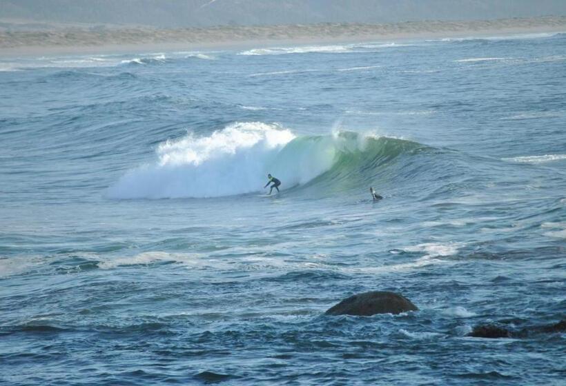 La Ritoqueña Hotel De Playa