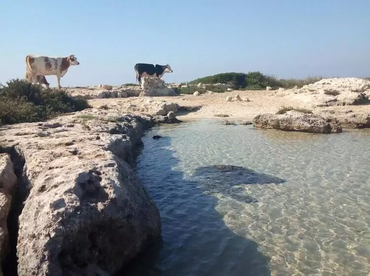 Bed and Breakfast Villa Itaca