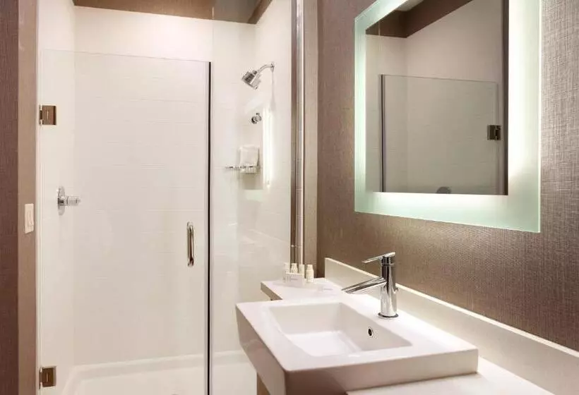 ホテル Springhill Suites By Marriott Coralville