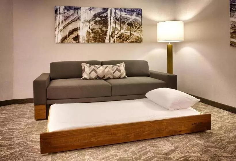 ホテル Springhill Suites By Marriott Coralville