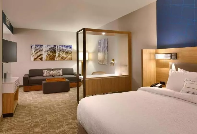 ホテル Springhill Suites By Marriott Coralville