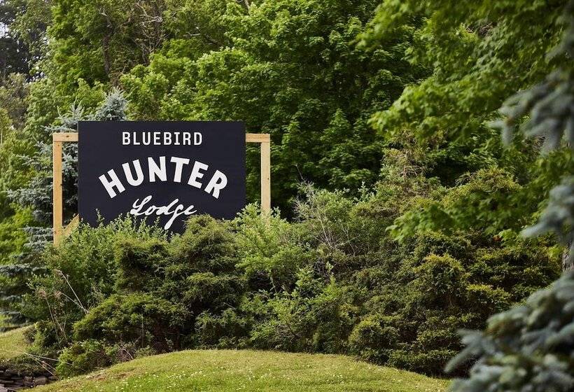 ホテル Hunter Lodge, A Bluebird By Lark