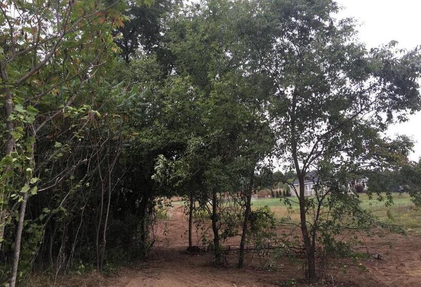 Timber Post Bed & Breakfast