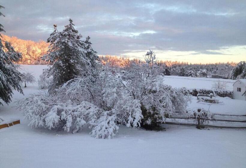 Timber Post Bed & Breakfast
