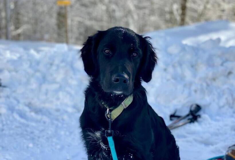 צימר Côté Chênes Verts   Chambres D Hôtes