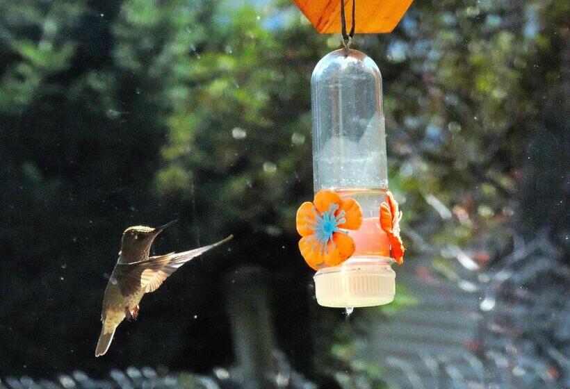 Bed And Breakfast Como En Casa