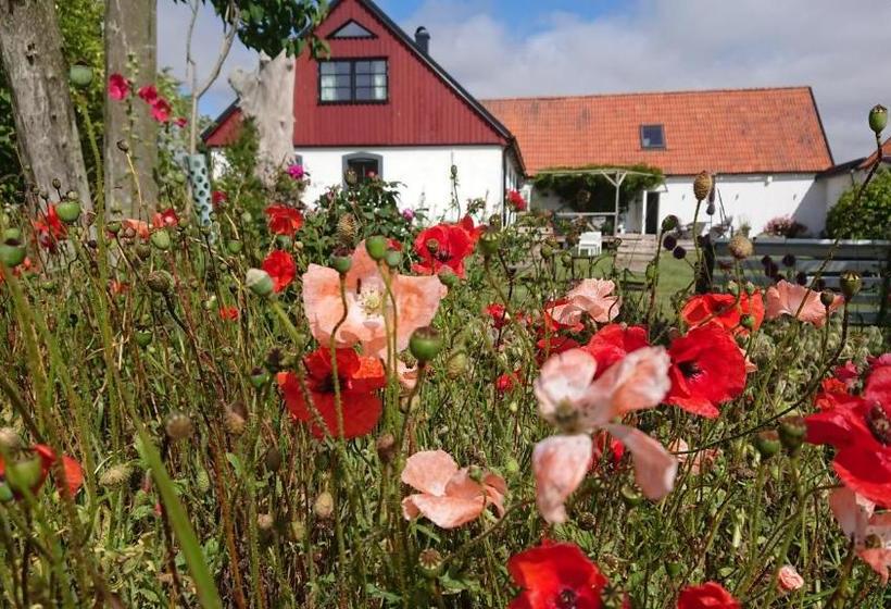 تختخواب و صبحانه Gården Mellan Slotten