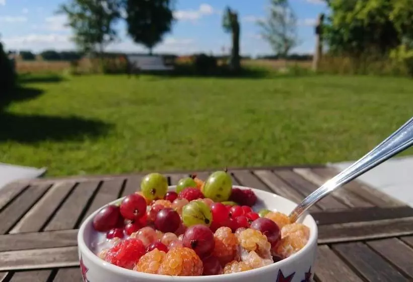 Aamiaismajoitus (B&B) Gården Mellan Slotten