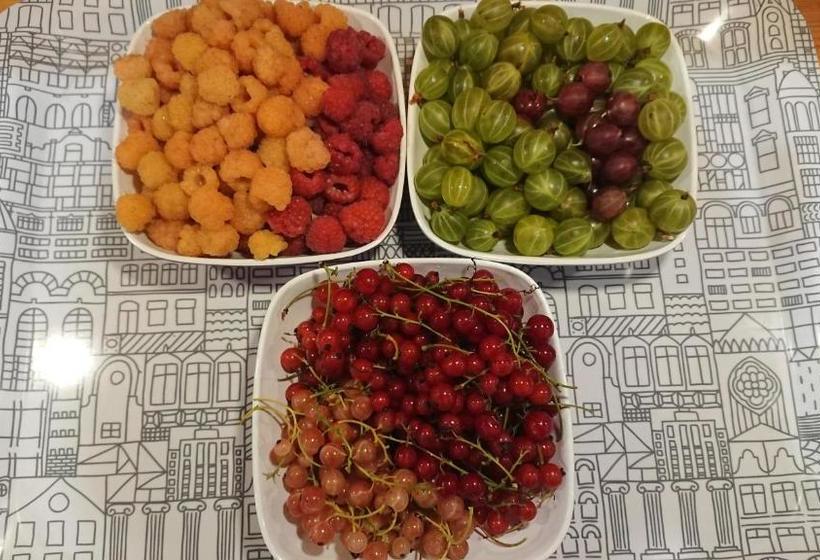 تختخواب و صبحانه Gården Mellan Slotten