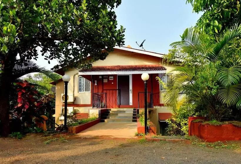 Aamiaismajoitus (B&B) The Mango Inn