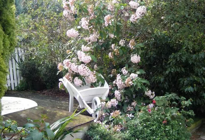 Country Lane Homestay B&b